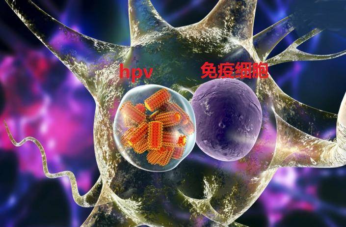 尖锐湿疣医院排名