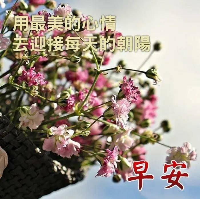 原創早上好溫馨祝福早安願你一天好心情