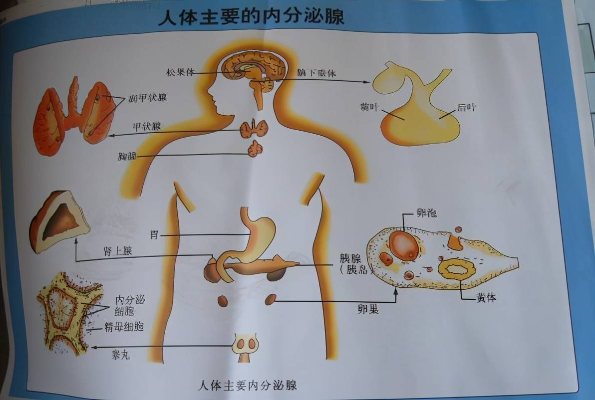 原创有家长批评小学性教育尺度大给大家讲讲15年前的性教育