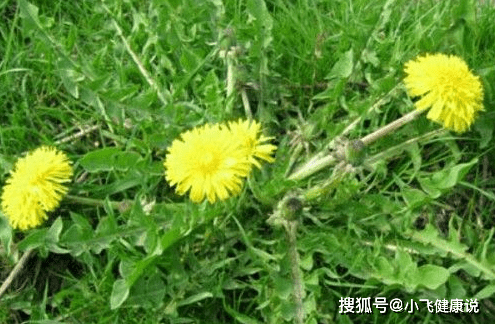 4916c1895f3a479d9dc0ae228fc0839a.png