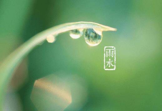 雨什么春什么成语_成语故事简笔画