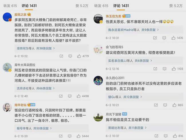 央视一天三次报道河南阿五毒树事件