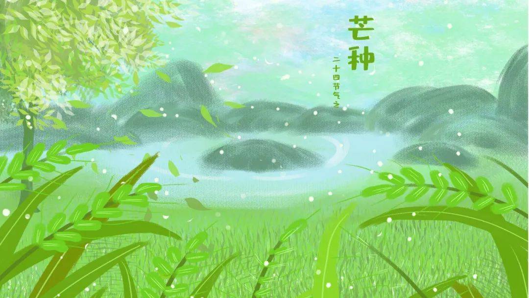 芒种节气 944b7b4c37eb4b1a98255ef557cda3b7.jpeg