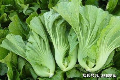 适合宝宝吃的蔬菜及做法 c6135bb3bf0c479bbe5bed219154d52d.jpeg