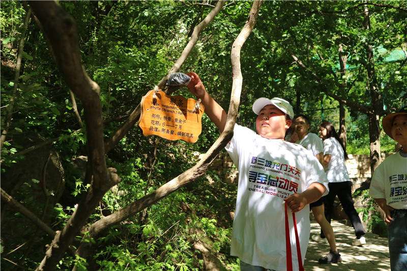河北保定野三坡景区举办大型寻宝活动_旅游