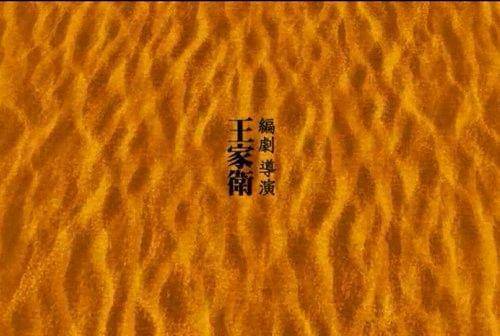 图片[2]-这部毒电影，正如豆瓣一句概述：它讲述的只是一个江湖人的感悟-魔性次元