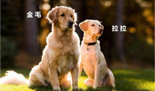 9d56b5e9122a42a1a59751e3e18b6b17.jpeg