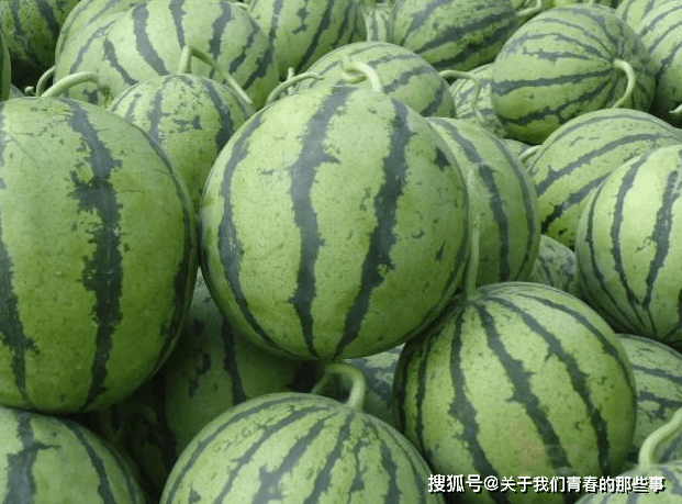 2784227c2b7145289c66029ad9e8d6ca.png