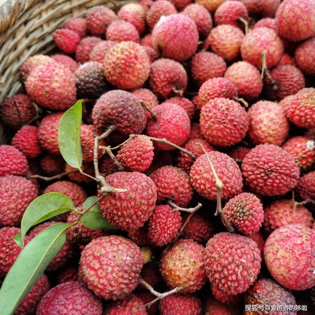 水果自由!生蚝自由!嗦粉自由!这到底是什么神仙城市啊!_钦州