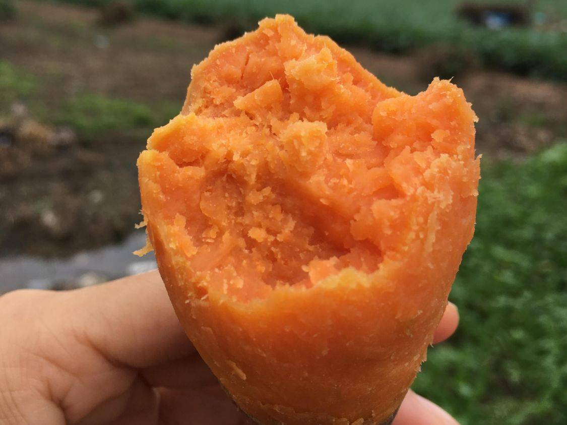 高血脂患者日常不妨常吃这3种蔬菜,对血脂稳定