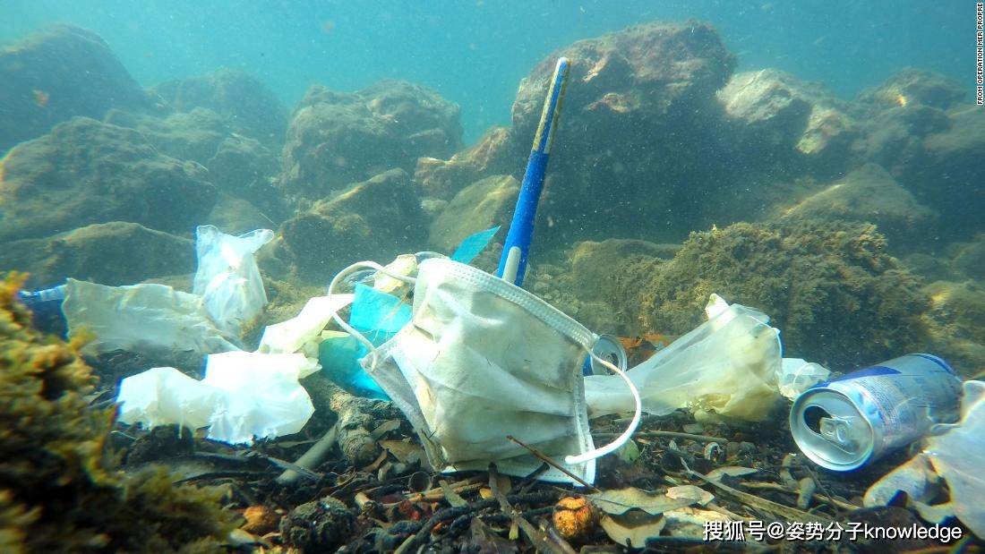 原創156億隻口罩成為海洋垃圾450年才能降解海洋動物的噩夢來了