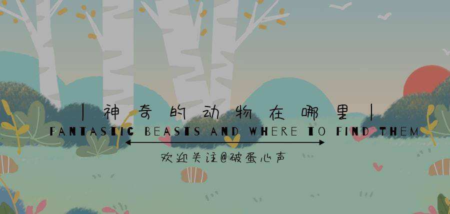 猫咪的 难言之隐 猫膀胱炎的危害这么严重 我们该如何认识 抗生素