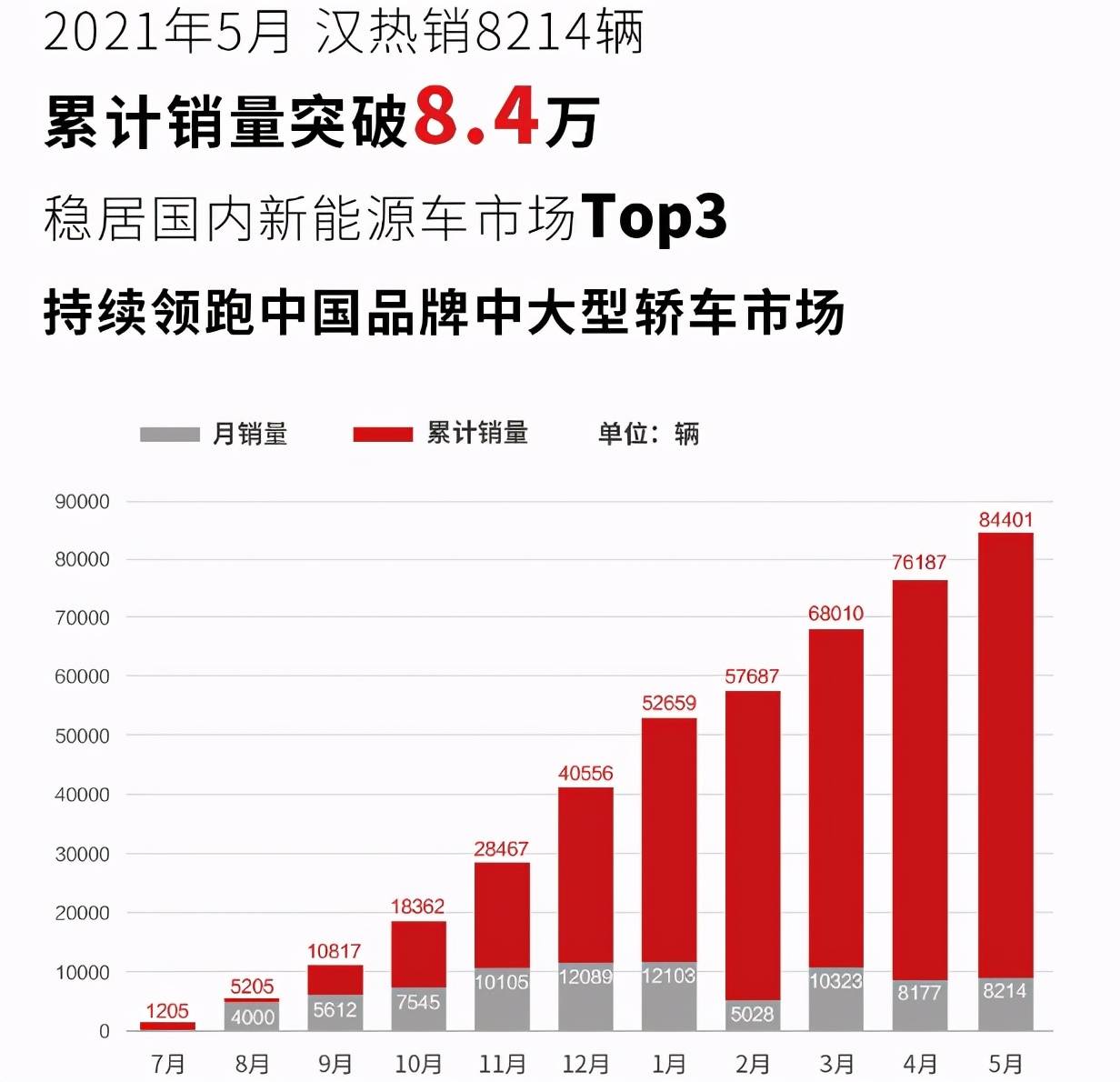 比亚迪汽车应该计入GDP_掉队 了的比亚迪,还能重回王位吗(3)