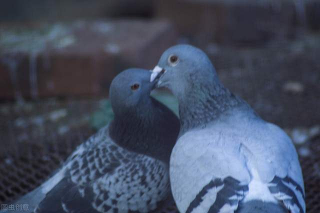 f8614cf030f04832a0baa6f470f60c56.jpeg