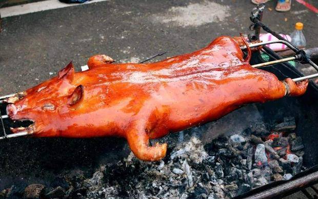 原创中国人无所不食为何很少吃猫肉仅仅是因为猫肉发酸吗