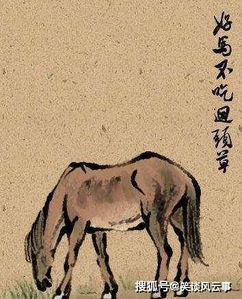 原创
人们常说“好马不吃回头草”,你可知它的后半句才是经典?