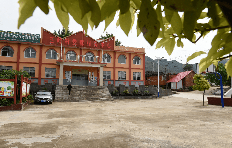 淅川县老城镇王岭村:向日葵开出致富花