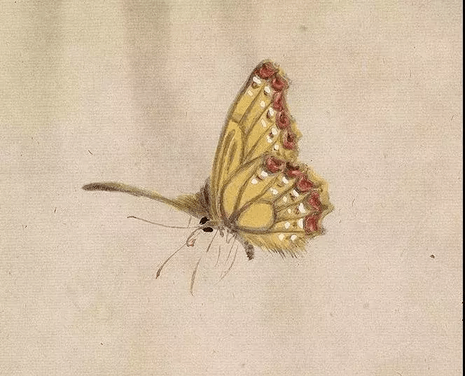 俞致贞,刘力上俞致贞张大千张大千赵少昂赵少昂郑乃珖钟质夫