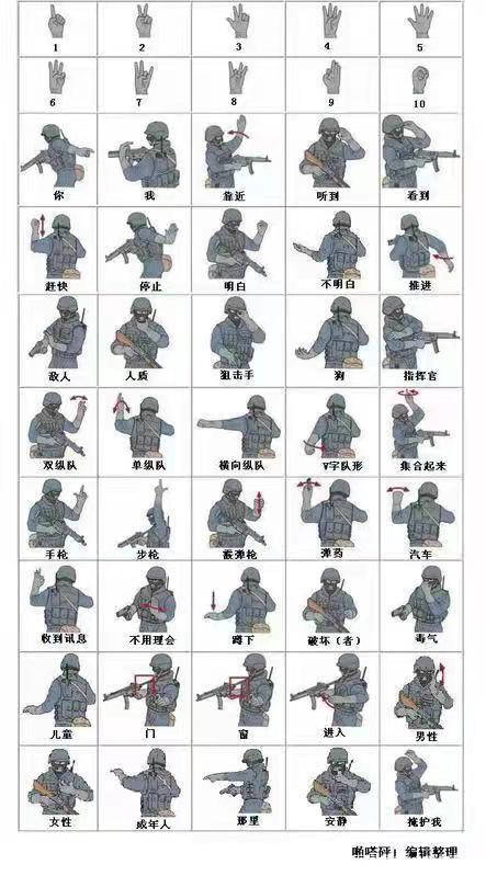 中合育才2天1夜端午爱国军事生存体验营在北京市房山区龙门生态园开营