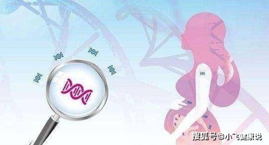 493ccb5b21194673a4ddf86ba02c9f53.jpeg
