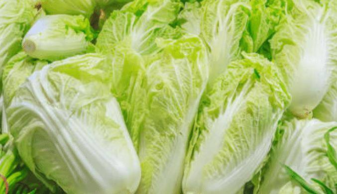 酸辣白菜怎么炒好吃又嫩 d37f4edfb84c45af84ab24c5670cad42.jpeg