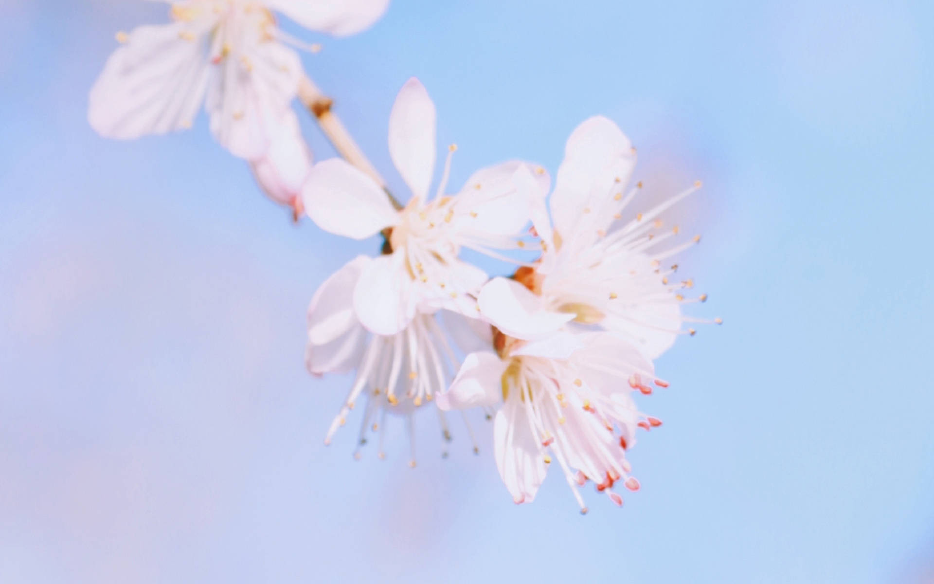 什么才是真正的灵魂契合 74eae849b98e4b448bfc0da0983d96bd.jpeg