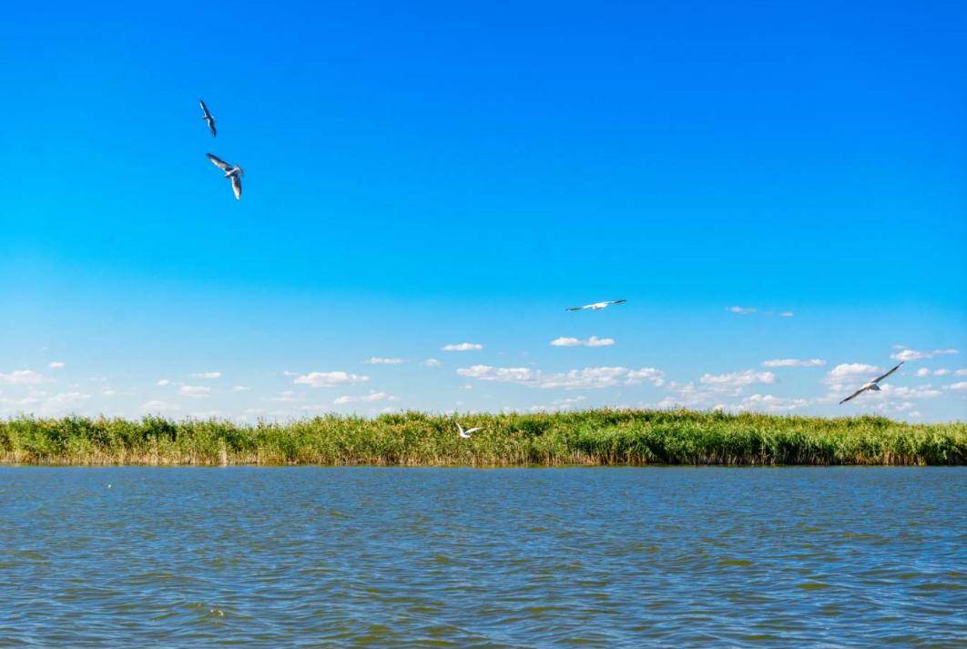 原创有塞外都江堰美誉的湖泊是黄河改道形成的河迹湖