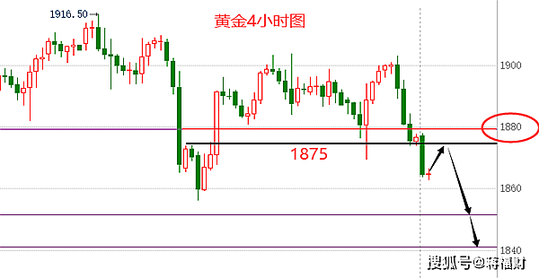 中国金店黄金价格的波动与趋势分析