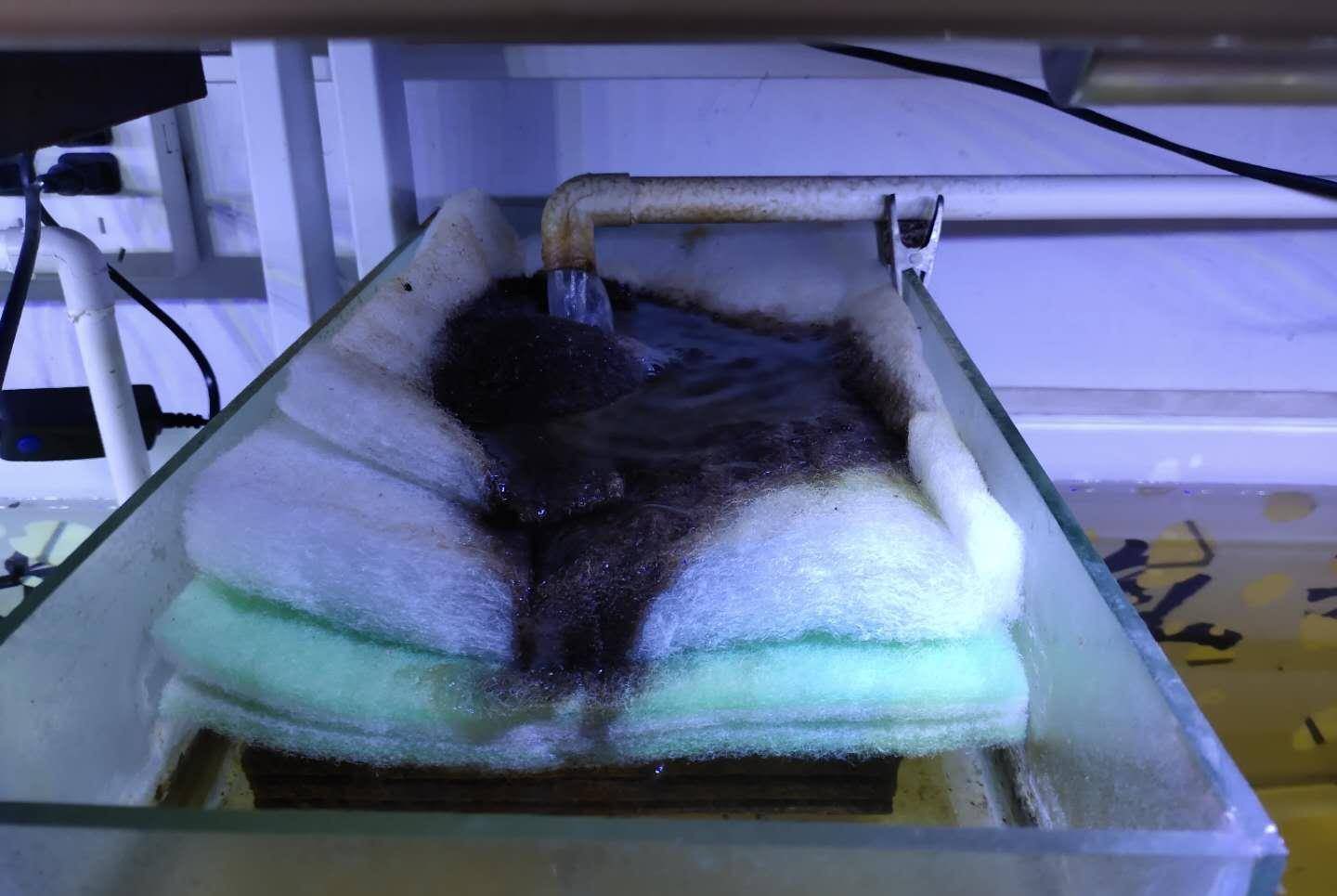 蓝色的水是什么原因导致的 01dcf12237f643aca53ef50a52f5d1da.jpeg