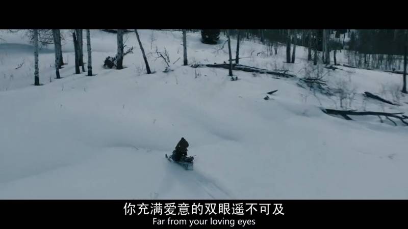 2011年,执导由eric jay beck,april matson合作主演的剧情电影《vile