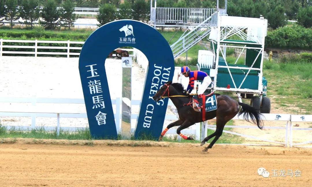 中国赛马新势力和力马业董事长张建道让定州闻名全国马业界