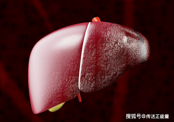 肝胆不好吃蒜好不好