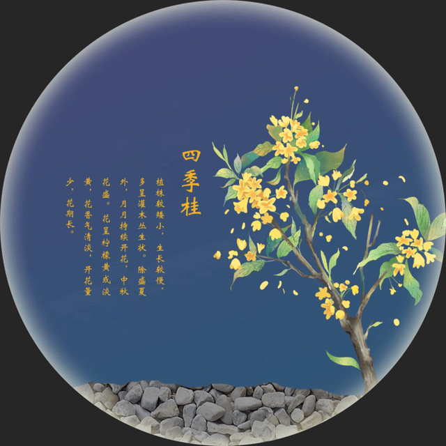 桂脉·悠悠万年展厅一桂花文化体验馆(七大主题展厅)桂花公社里都有啥