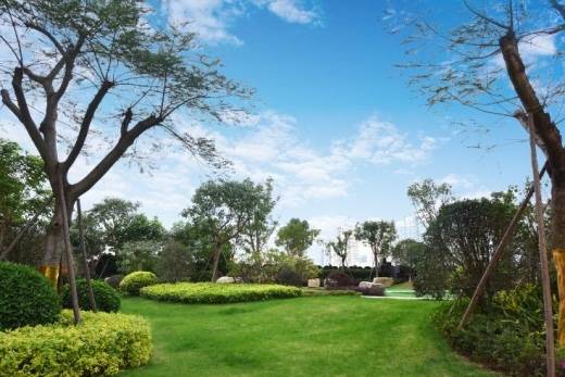 厦门华尔顿1275火的一塌糊涂华尔顿1275了解背后原因以及详情