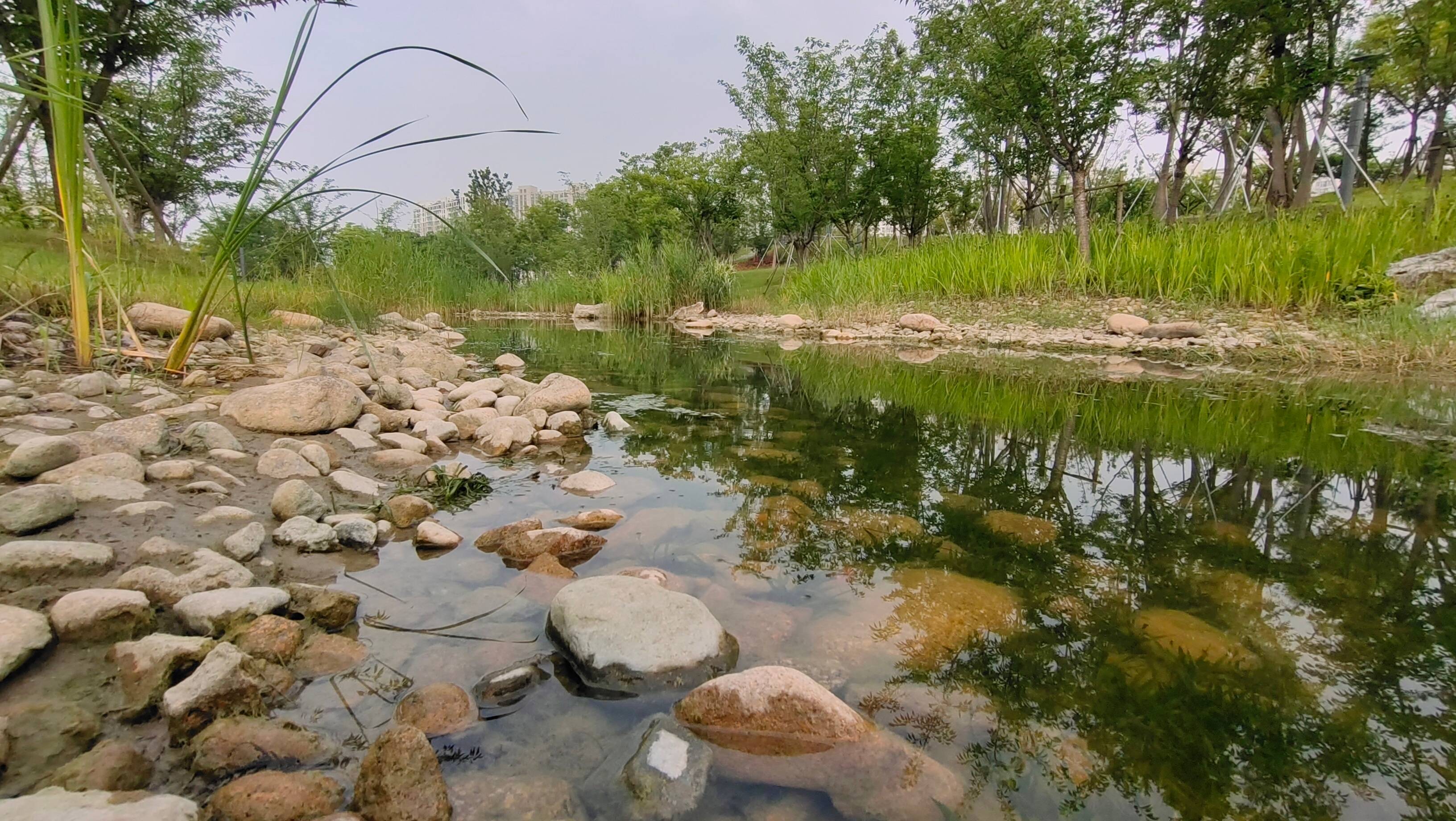 太仓城市中心市民公园,景色绝美犹如世外桃源,绿道长廊浪漫唯美