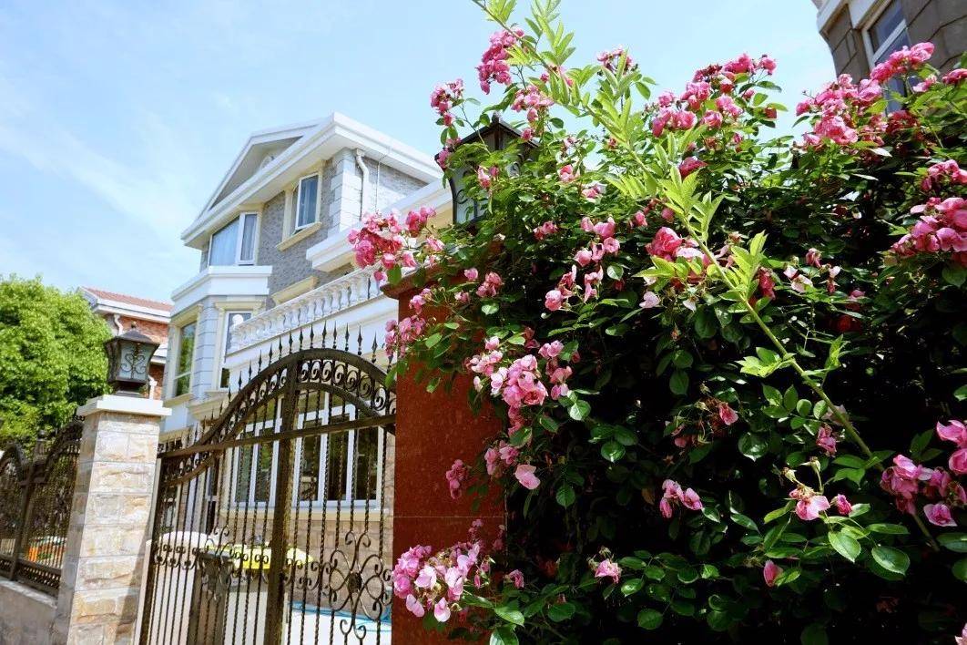 上海闵行旭丽花园彻底火了究竟是什么原因来看以下图文就懂了