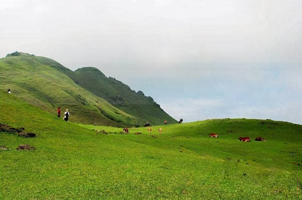 藏在广东的八大草原每一个都是风景美如画你去过吗