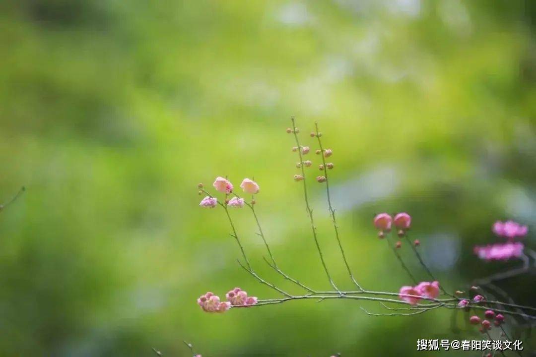 ada7fde30d0447c9a90bc21cecf25e11.jpeg