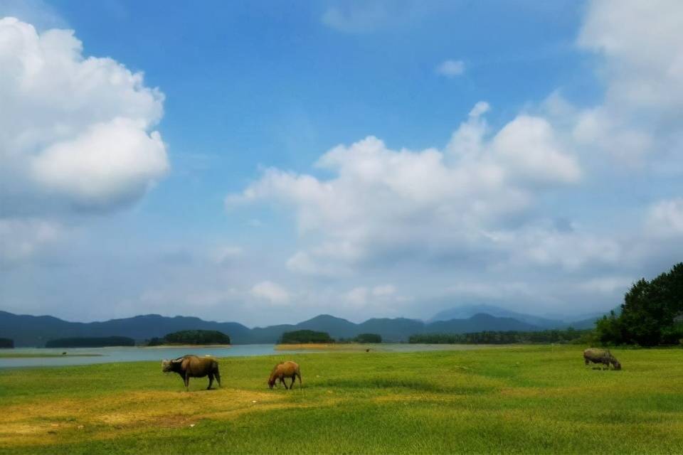 藏在广东的八大草原每一个都是风景美如画你去过吗