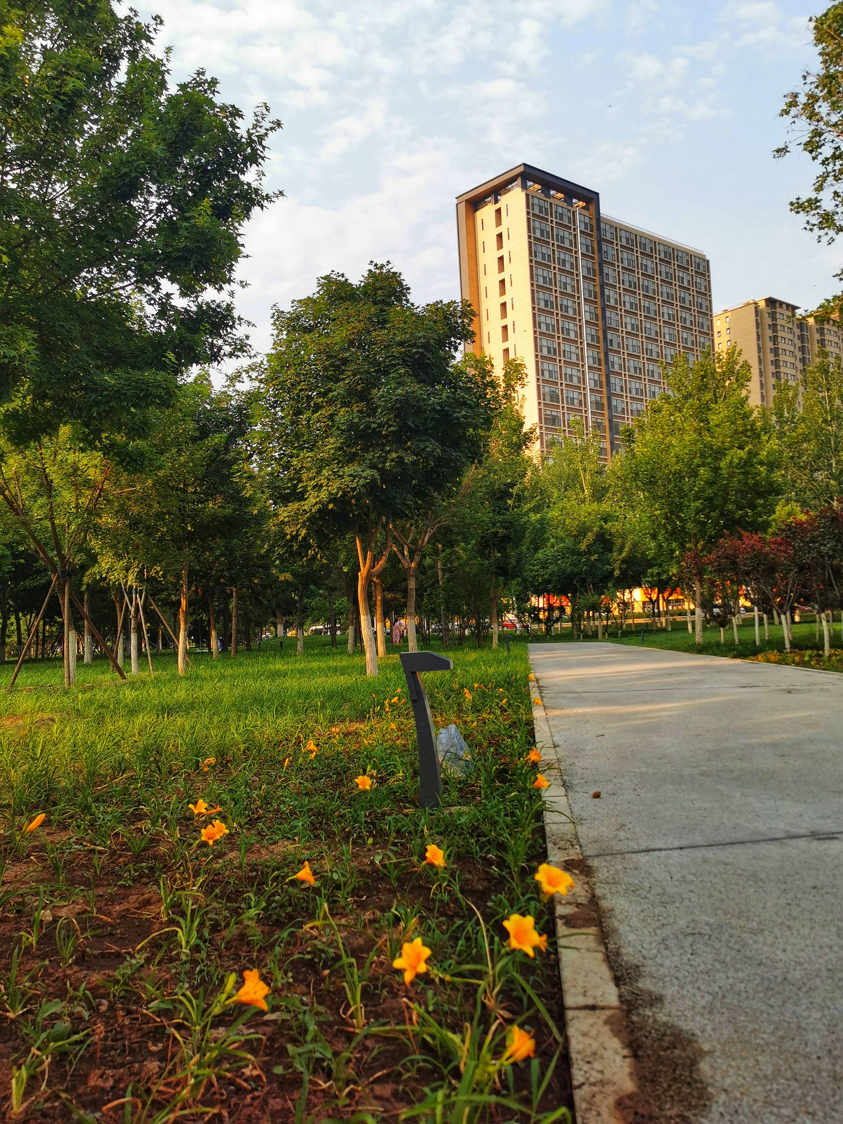 北京良鄉大學城公園一瞥