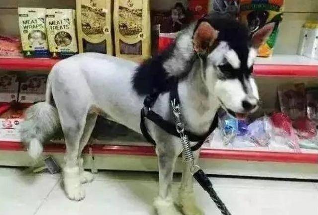 33bb9480b6e74abeac3956ee9a4fe6ab.jpeg