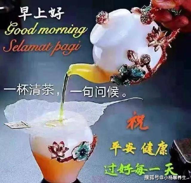 新的一周问候早上好图片 贴心祝福 愿你生活如愿 健康 中华资讯在线