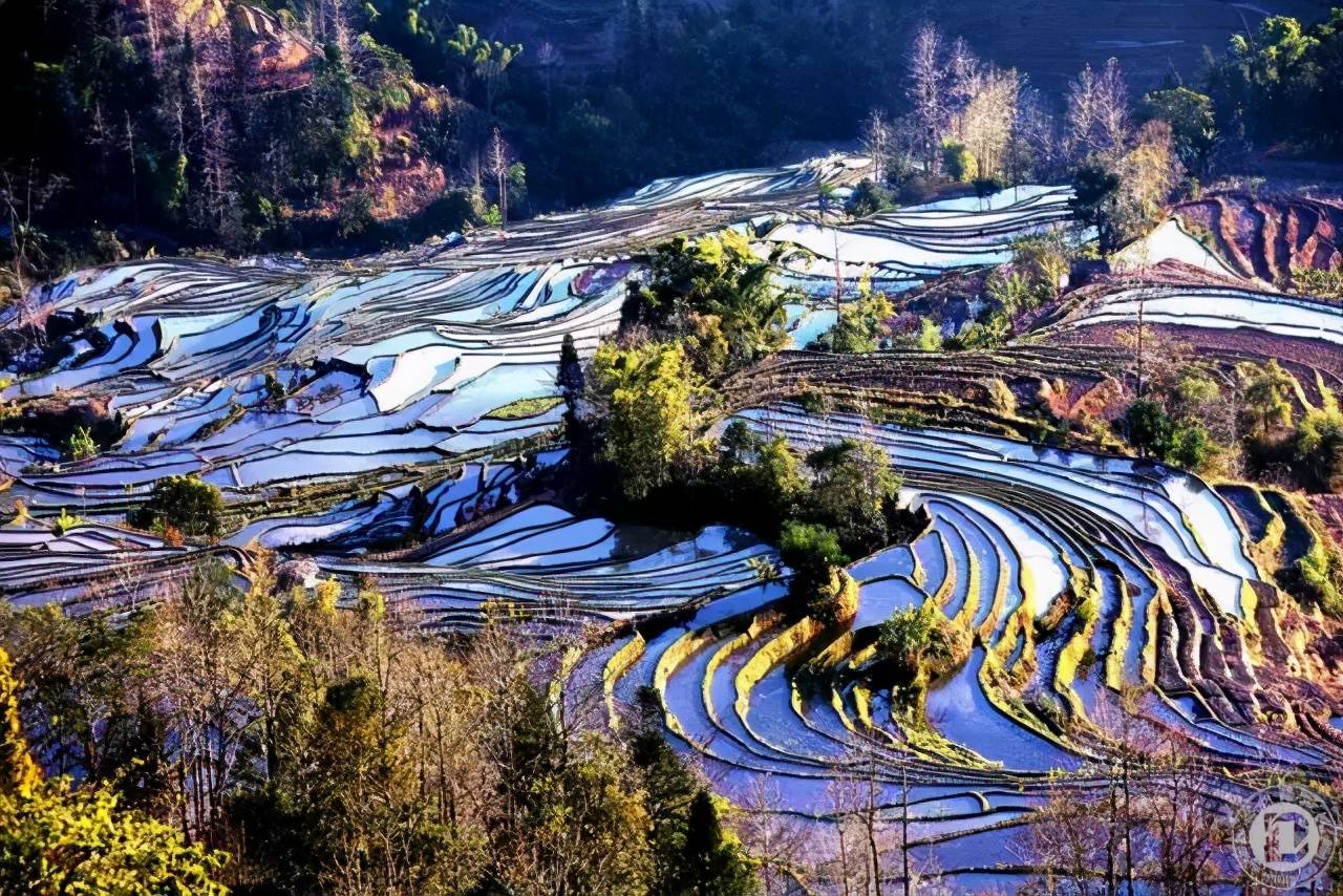 中国10大最美梯田,不一样的田园仙境