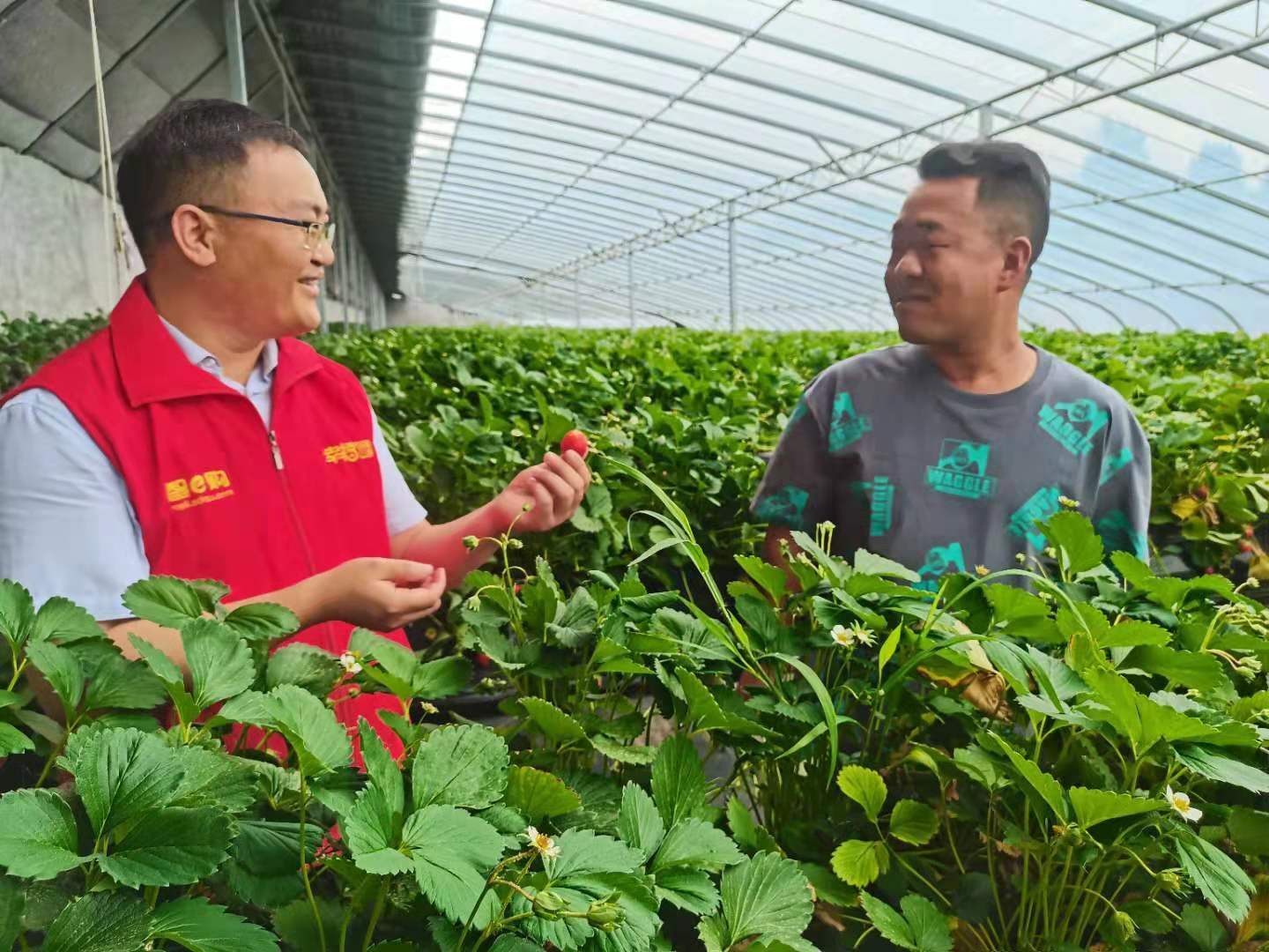 沂源农商银行传承大挎包精神先进人物代表唐安国
