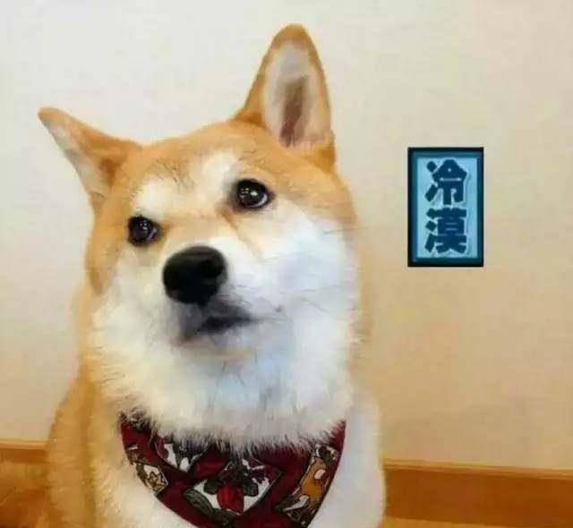 4ba24da2fe6544ae85b7a63f52b9cd68.jpeg