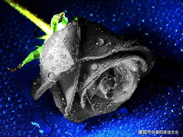 4ec7a778f2684c09b86380efd3d3515d.jpeg