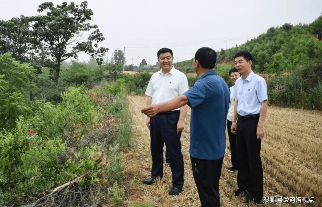 洛阳娄会峰照片图片