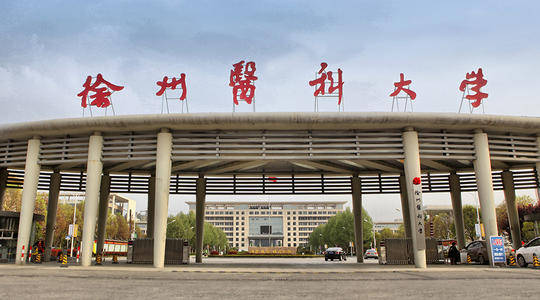 全世界最厉害的医科大学 30085879ffd848de8bb235a6157c90f7.jpeg