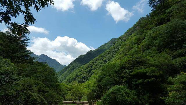 藏在浙江安吉的小眾旅遊景點,遊客:就跟到了世外桃源一樣_九龍峽