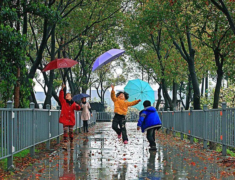 原创李娟:雨中的快乐你不懂